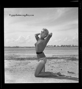 Bunny Yeager 1950s Camera Pin - up Negative Sexy Blonde Model Beatnik on Beach 2