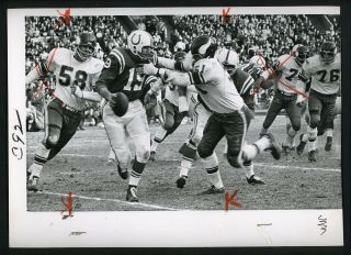 Johnny Unitas Jim Leo Rip Hawkins 1962 Press Photo Baltimore Colts Vikings