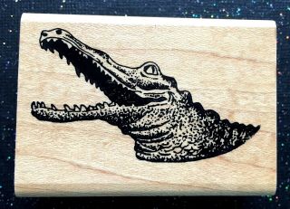 Vintage Rubber Stamp " Hungry Crocodile " By Ken Brown Stamps 1 3/4 X 2 1/2 "