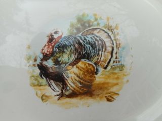 Vintage Badcock Furniture Advertising Homer Laughlin Turkey Plate Platter 3