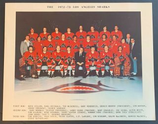 1972 - 73 Los Angeles Sharks Wha Team Photo 1st Year World Hockey Association