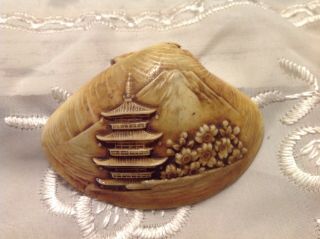Vintage Japanese Hand Carved Clam Shell Pagoda,  Flowers,  Mount Fuji Background