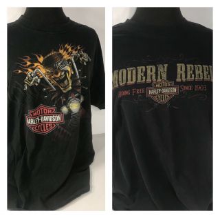 Vintage Harley Davidson T Shirts (2) Adult Large “southern Thunder” “bluegrass”