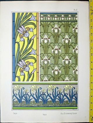 Iris Designs,  Art Nouveau/jugendstil,  Eugene Grasset,  La Plante.  1896 2