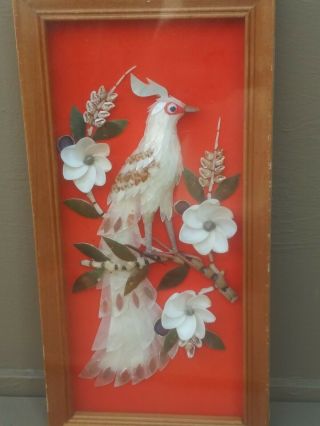 Seashell Peacock Vintage Framed Wall Art 12’’x 6’’ Hand Made