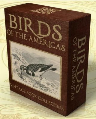 Birds Of The Americas 148 Vintage Books On Dvd - Rom Ornithology,  American Birds
