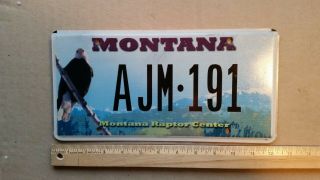 License Plate,  Montana,  Raptor Center,  Bald Eagle,  Ajm 191