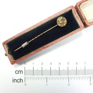 Antique Victorian 15ct Gold Stick Pin /15ct Horseshoe Cravat Pin In Antique Box