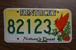 2010 Kentucky Red Cardinal Bird License Plate -