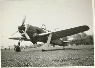 Very Rare Photograph Of A Focke - Wulf Fw - 190 A - 8