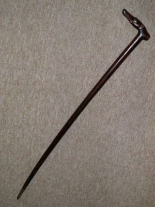 Antique Mahogany Walking Stick With Hand - Carved Whippet Dog Head Top - 89.  5cm