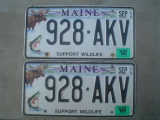 Maine Support Wildlife Expired License Plate Pair Moose Fish Katahdin