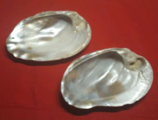 Vintage 2 Large Polished Oyster Shell Mother Of Pearl Appetizer Dishes 6.  25 " X 4 "