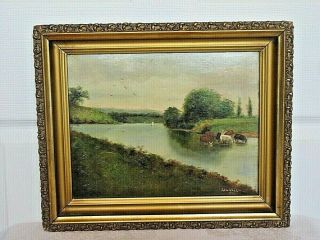 Antique Oil Painting On Board With Cows Drinking Water Orig Gilt Frame / Signed