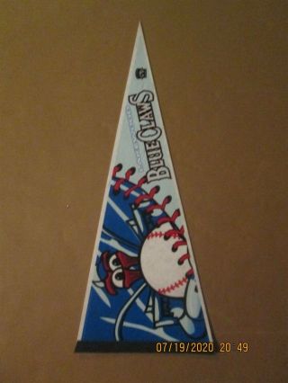 Sal Lakewood Blue Claws Vintage Circa 2003 Team Logo Baseball Pennant