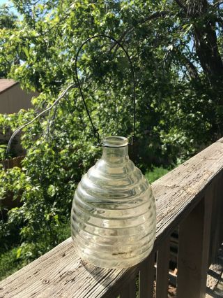 Vintage Glass Beehive Clear Glass Wasp Bee Insect Pest Trap