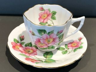 Vintage Windsor Wild Rose Bone China Tea Cup & Saucer