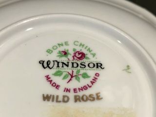 Vintage Windsor Wild Rose Bone China Tea Cup & Saucer 2