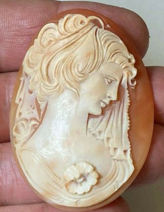 Huge Antique Carved Shell Cameo Of A Lovely Maiden - Finely Realized