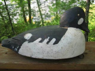Large Antique / Vintage Duck Decoy Goldeneye Drake