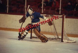 Michel Plasse Pittsburgh Penguins 35mm Negative Feb 1975 Goalie A39