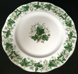 Vintage Royal Albert Ivy Lea Dinner Plate England