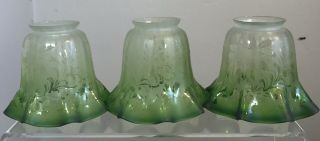 Antique Victorian Matching Set Of 3 Etched Art Glass Shades Green Oil Lamp Era