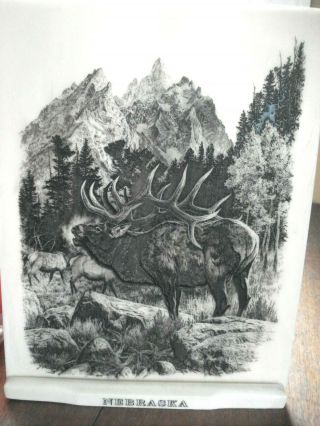 Vintage 1977 Montana Marble Art Etched Bugling Bull Elk Bill O 