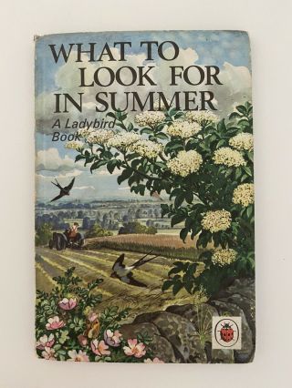 What To Look For In Summer Ladybird Book Vintage Series 536