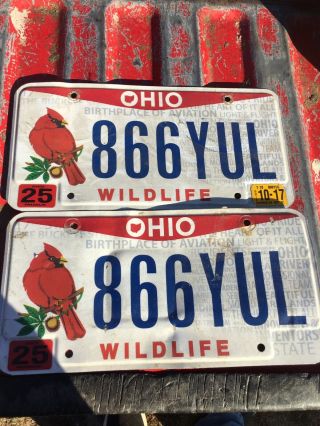 Ohio Wildlife Cardinal License Plate Pair 866yul