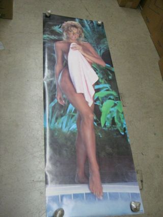Pass The Towel,  Please Door Poster Vintage 1987 Sexy Dona Speir Playboy C1481