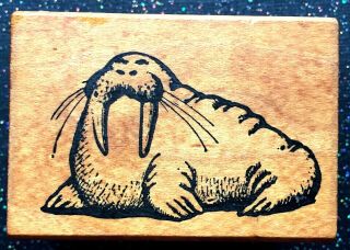 Vintage Rubber Stamp " I Am The Walrus " By All Night Media 1 3/4 X 2 1/2 "