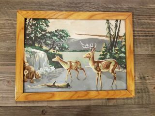 Vintage Paint By Numbers Picture Of Deer In Woods Waterfall Framed