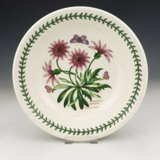 Vintage Portmeirion Pottery - Botanic Garden - 8 " Pasta Bowl -