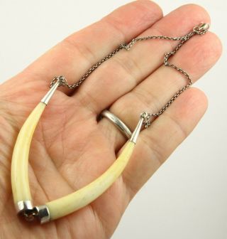 Antique Art Deco C 1920 Sterling Silver Boars Tusk Necklace