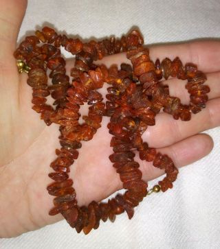 Vintage Untreated Unpolished Baltic Amber Beaded Necklace Gold Filled Clasp 29 "