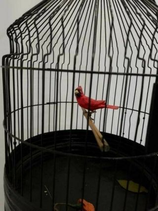 Antique Vintage Hanging Bird Cage with Metal Stand and decorative Bird 2