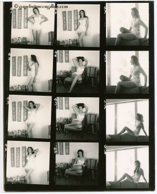 Vintage Bunny Yeager 8 " X10 " Contact Sheet Photograph Sexy Silvia Brunette Model
