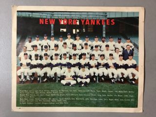 Rare York Yankees 1963 8 X 10 Color Team Photo,  Mantle,  Maris,  Berra,  Etc.