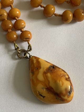 Antique Butterscotch Egg Yolk Amber Bead Necklace / Pendant - 43 Grammes 2