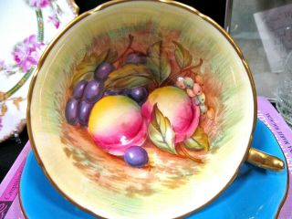 Aynsley Tea Cup And Saucer Orchard Fruits Painted Signed D.  Jones Teacup Blue