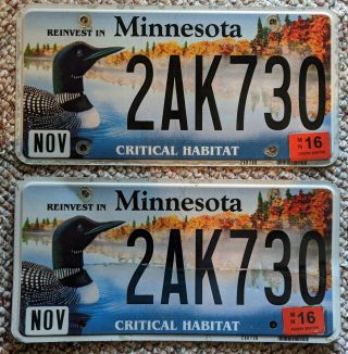 Minnesota License Plate Critical Habitat Optional Issue 2016 Pair Loon