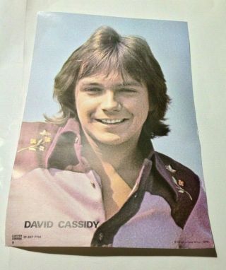 David Cassidy Vintage 1970s Concert Poster By Coffer