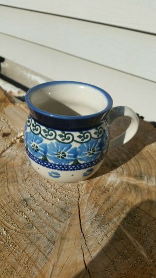 Vintage Made In Poland Hand Painted Tea Cup