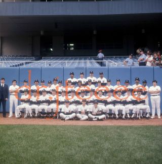 1977 York Yankees Team - (michael Grossbardt) Transparency