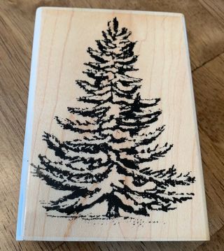 Vintage Pine Tree 4.  5” Wooden Rubber Stamp