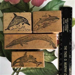 Lot Vintage Whales And Dolphins Rubber Stamps By Nature Impressions