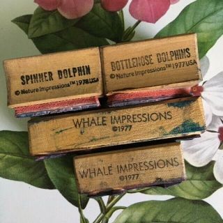 Lot Vintage Whales and Dolphins Rubber Stamps by Nature Impressions 3