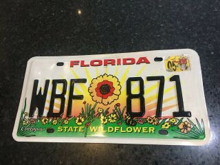 Florida State Wildflower License Plate