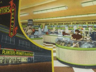 Atlantic City Jersey NJ 1940s Planters Peanut Store Vintage Linen Postcard 2